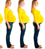 Desarrollo del embarazo ¿Qué cambios experimenta la mujer?