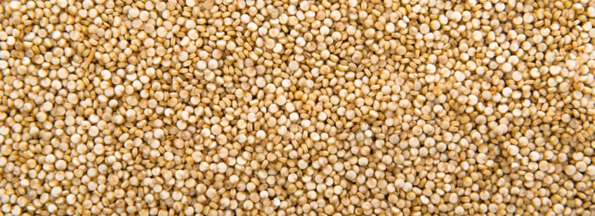 Quinoa