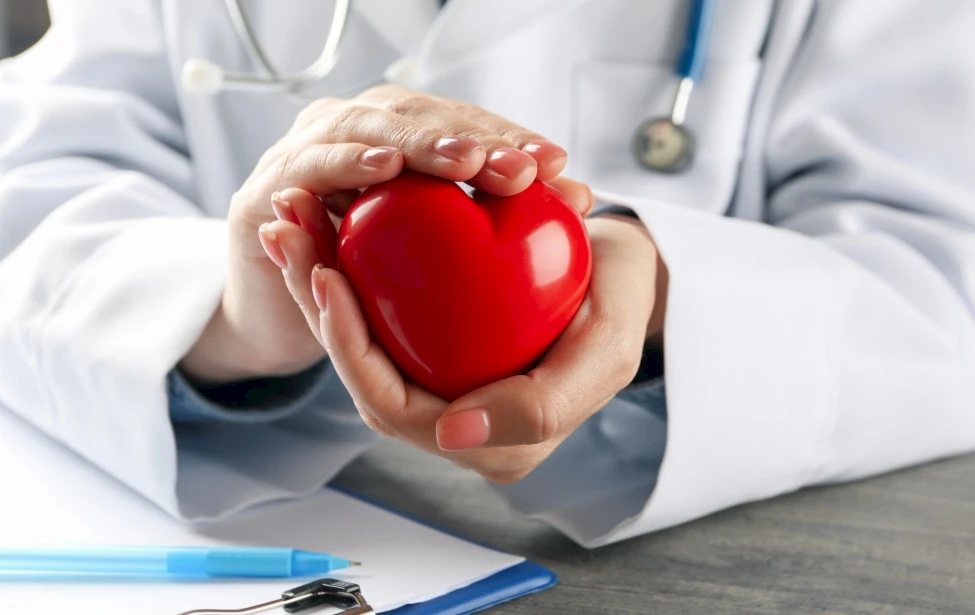 Doctor con figura de corazón en la mano